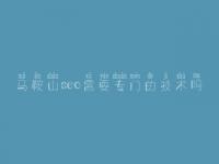 马鞍山seo需要专门的技术吗，seo免费视频教程