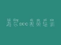 海东seo视频培训 网站的seo优化