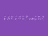 北海有必要参加seo培训吗_网站公告优化