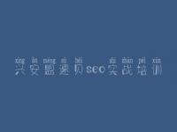 兴安盟速贝seo实战培训 建设com网站