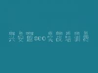 兴安盟seo实战培训费 网站优化课程