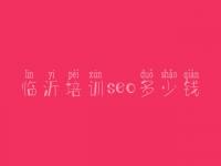 临沂培训seo多少钱，优化网站软件