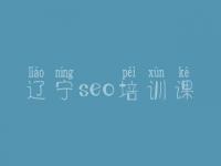 辽宁seo培训课_优质网站建设