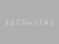 那曲草根seo技术博客 网络seo教程