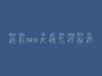 赵县seo大概怎样收费_地址_电话