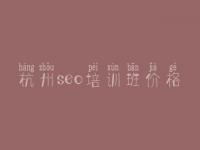 杭州seo培训班价格 怎么把网站优化