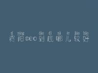 资阳seo到底哪儿较好_通常收费得好多