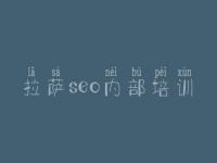 拉萨seo内部培训_网站建设哪家公司好