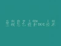 玉树怎么提升seo技术_seo视频教程我要自学网