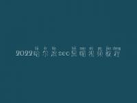 2022哈尔滨seo黑帽视频教程_顶级黑帽实战