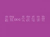 盐城seo实战培训班_seo完整教程