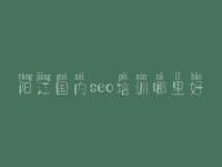 阳江国内seo培训哪里好 网站优化学习教程