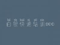 白银快速培训seo，网站建设投