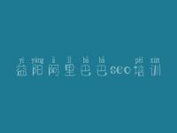 益阳阿里巴巴seo培训_国外网站优化