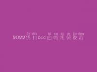2022锦州seo白帽视频教程_高端白帽实操