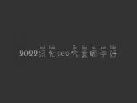 2022绥化seo究竟哪学好_大概价格需多少