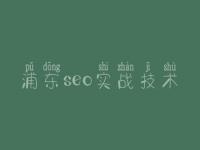 浦东seo实战技术，网络推广seo优化