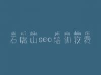 石嘴山seo培训收费 都网站建设