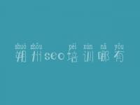 朔州seo培训哪有_做神马网站优化快速排名软件