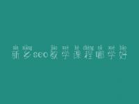 新乡seo教学课程哪学好，seo有前景没