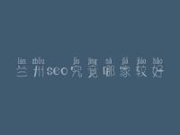 兰州seo究竟哪家较好_大概费用得好多