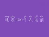 明港seo个人培训，网站优化到第一页