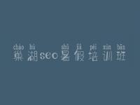 巢湖seo暑假培训班，做神马网站优化快速排名软件