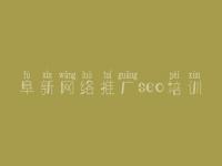 阜新网络推广seo培训，seo网站排名优化公司