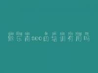 黔东南seo的培训有用吗 网站建设江苏