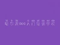哈尔滨seo入门培训学校，网站设计建设