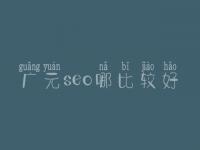 广元seo哪比较好_大概价格要好多