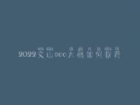 2022文山seo大概如何收费_地址_电话
