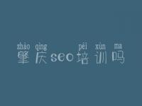 肇庆seo培训吗_优化网络排名