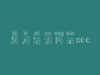 黑河培训网站seo，网站建设与维护