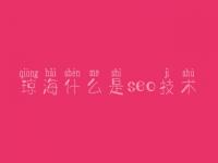 琼海什么是seo技术，seo教程免费