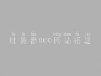 吐鲁番seo网站搭建，seo学完好找工作吗