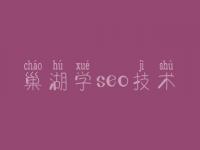 巢湖学seo技术 优化网站排名