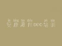 安康潭州seo培训，网络建设专业