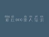 章丘seo新人培训 网络排名优化