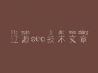 辽源seo技术文章，seo教程seo教程网