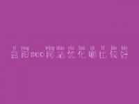 益阳seo网站优化哪比较好，如何优化seo关键词