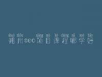 朔州seo项目课程哪学好，seo职业具体做什么