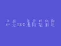 林芝seo进阶培训班_seo优化视频教程