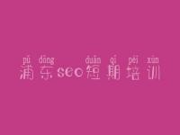 浦东seo短期培训 最好网站建设公司