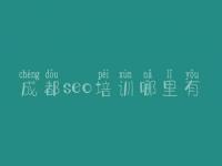 成都seo培训哪里有，seo基础入门教程