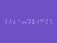 齐齐哈尔seo网络推广培训 google优化