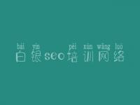 白银seo培训网络 网站优化怎么
