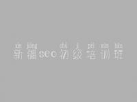 新疆seo初级培训班 普通网站建设