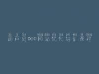 葫芦岛seo网站优化培训课程 谷歌优化公司