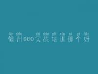儋州seo实战培训那个好 网站建设网